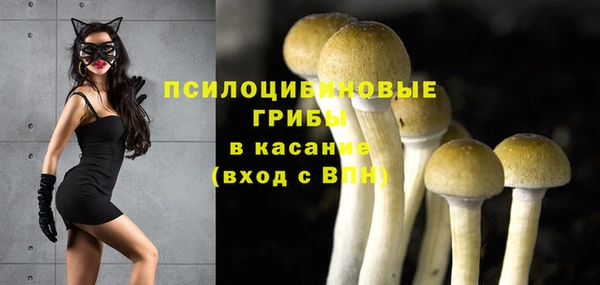 Альфа ПВП Белокуриха