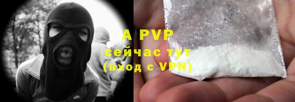 Альфа ПВП Белокуриха