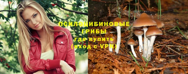 Альфа ПВП Белокуриха
