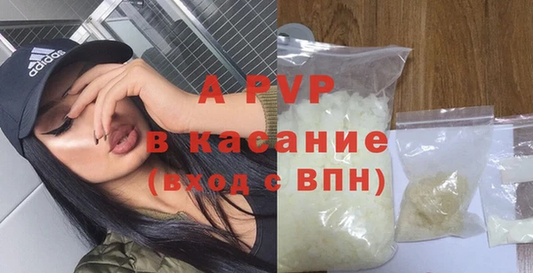 молекула духа Белоозёрский