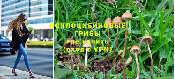 прущая мука Богородицк