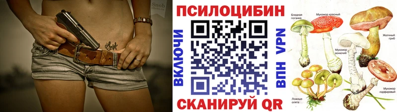 Псилоцибиновые грибы ЛСД продажа наркотиков Каменка